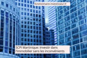scpi-martinique-immobilier